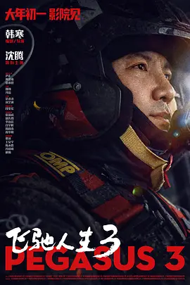 精品久久久久久中文